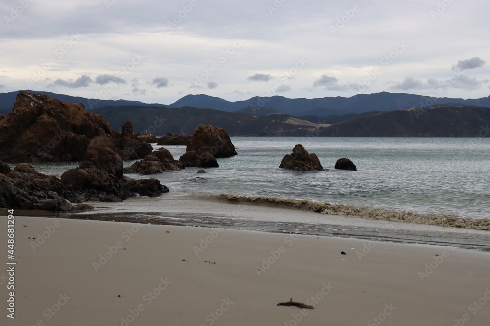 Fototapeta premium beach at winter