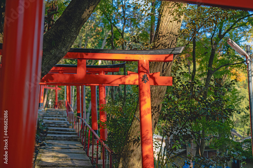 京都 二葉姫稲荷神社の参道風景