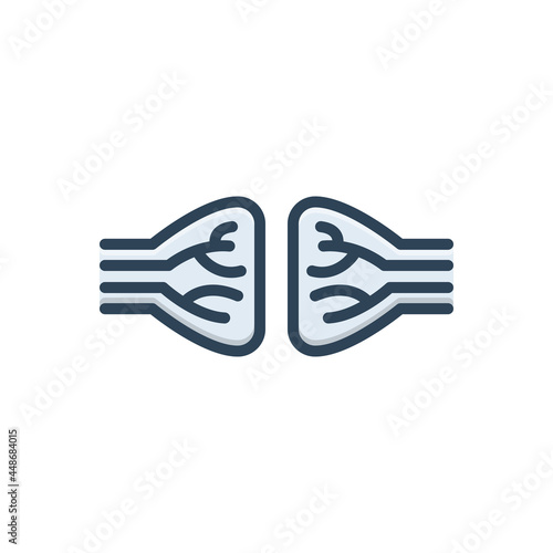 Color illustration icon for nerve 
