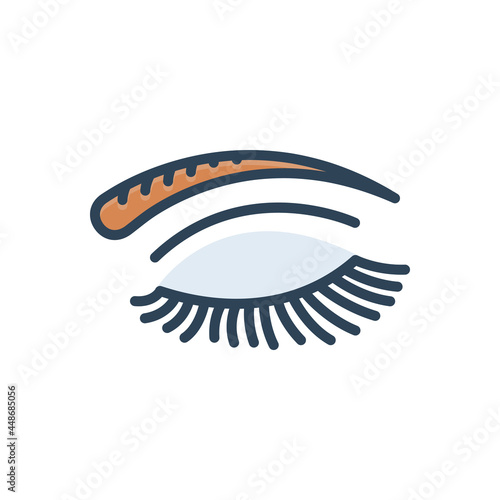 Color illustration icon for eye lashes brow