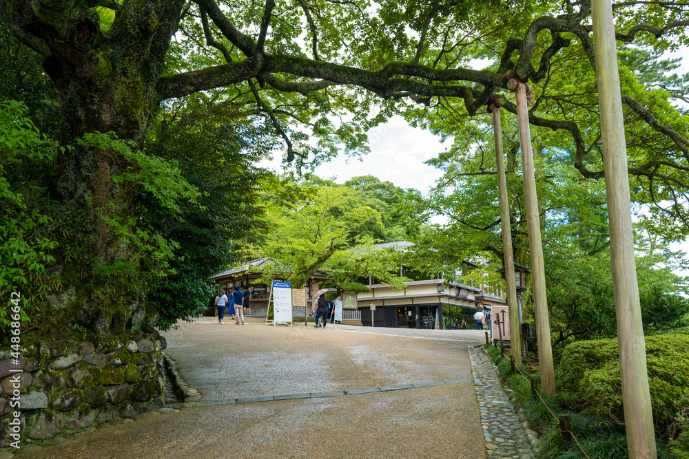 石川県金沢市にある兼六園周辺の風景 Scenery around Kenrokuen Garden in Kanazawa City, Ishikawa Prefecture, Japan.