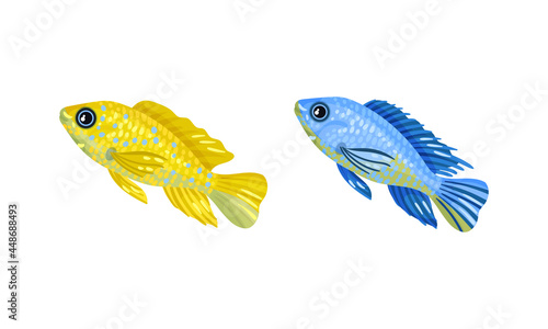 Tropical Fish for Freshwater and Saltwater Aquarium Vector Set