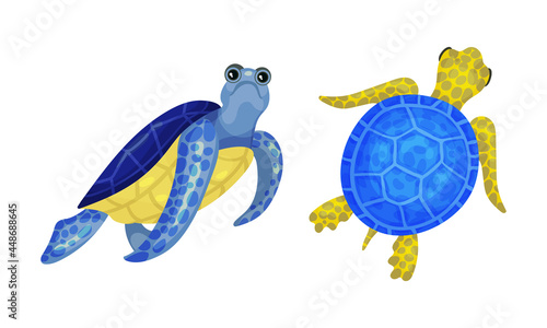 Tropical Turtle Reptile for Freshwater and Saltwater Aquarium Vector Set