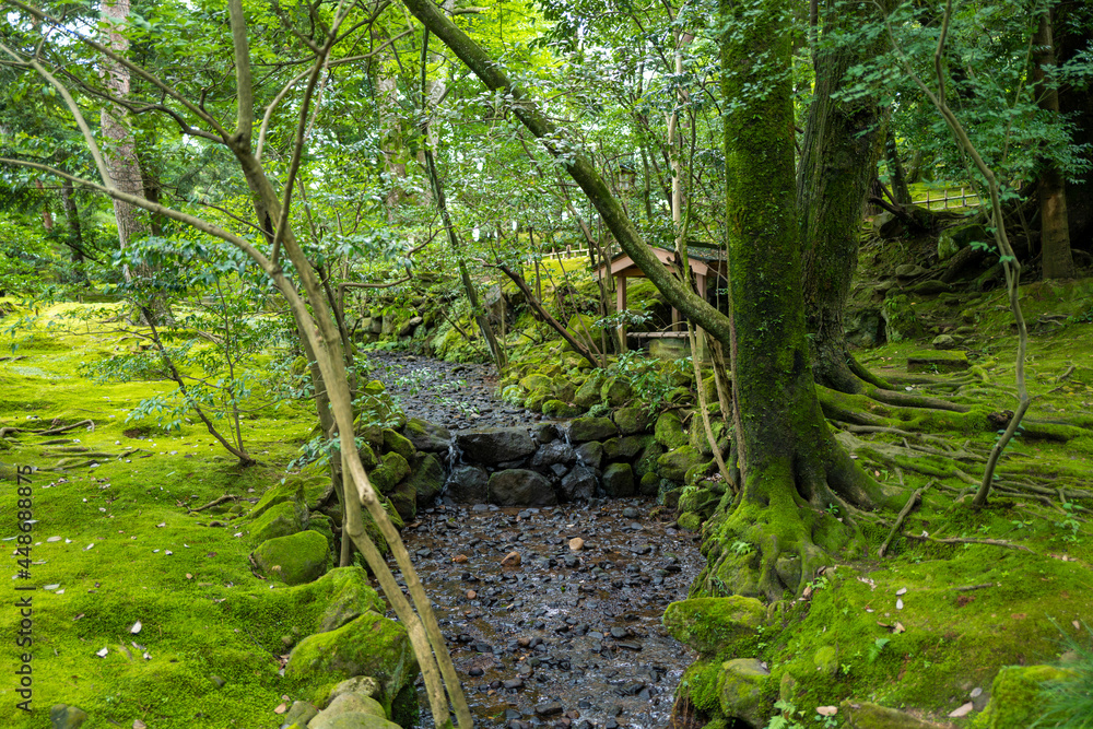Obraz premium 石川県金沢市にある兼六園周辺の風景 Scenery around Kenrokuen Garden in Kanazawa City, Ishikawa Prefecture, Japan.