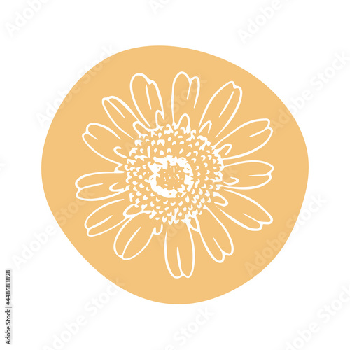 Daisy with abstract shapes hand drawn illustration. Line art. Isolated on white background.