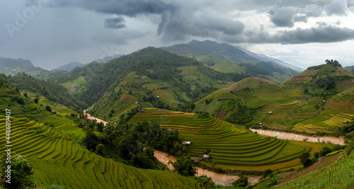 Rice fields at Northwest Vietnam © freedom_naruk