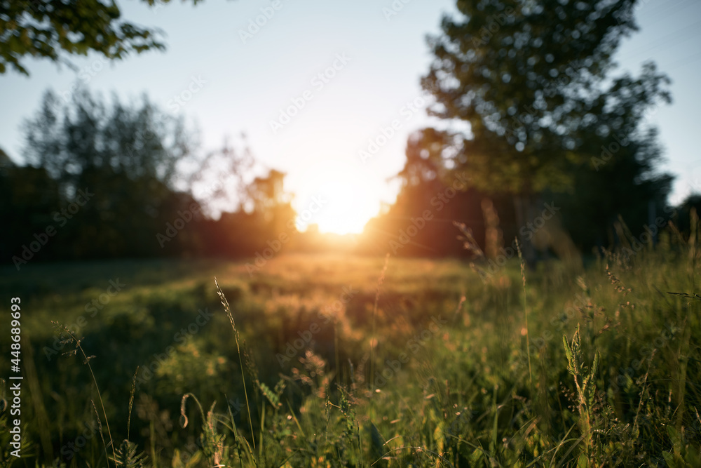 Obraz premium Sunset in the rural area out of town. Outdoor landscape at sunset time