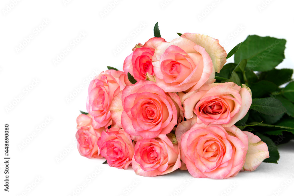Bouquet of pink roses isolated on white background.