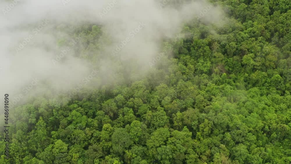 Aerial view flying above lush green tropical rain forest mountain with rain cloud cover during the rainy season on the Doi Phuka Mountain reserve national park. In, the northern Thailand Aerial view flying above lush green tropical rain forest mountain with rain cloud cover during the rainy season on the Doi Phuka Mountain reserve national park. In, the northern Thailand