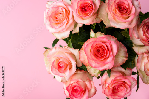 Bouquet of pink roses on pink background.