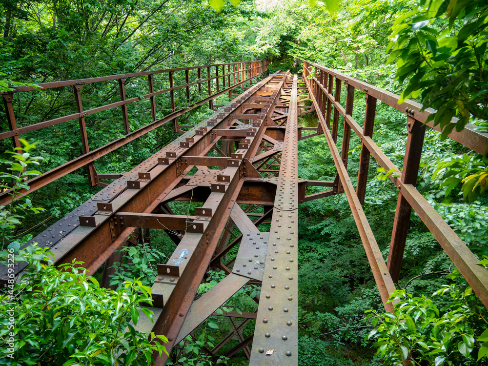 old railroad bridge on a forest railway, caras-severin county, romania