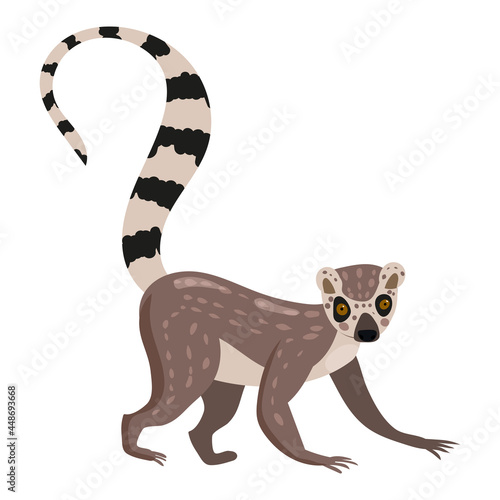 Lemur cute exotical Madagascar monkey animal, ring tailed. Vector illustration cartoon style