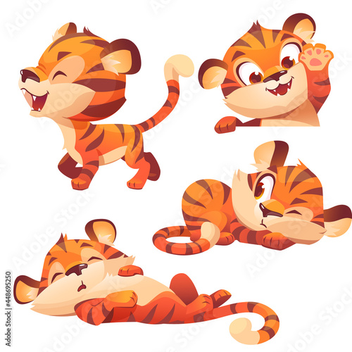 Cute baby tiger character sleep and peep