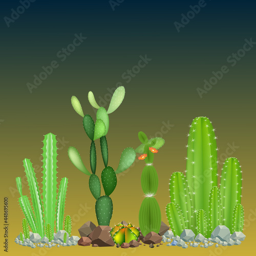 Set of cactus plants and rocks. Vector illustration.
