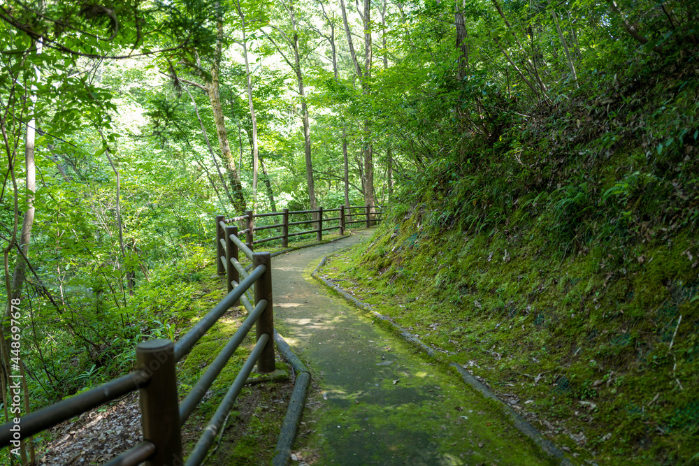 Obraz premium 石川県の動物園周辺の風景 Scenery around the zoo in Ishikawa Prefecture