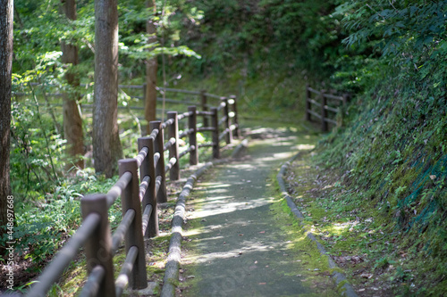                                      Scenery around the zoo in Ishikawa Prefecture