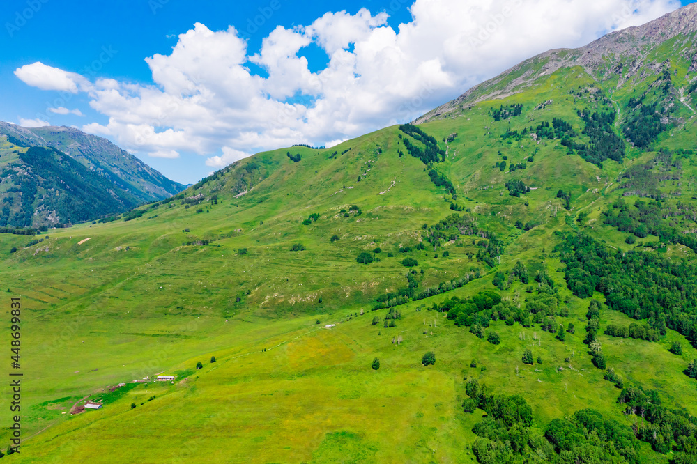 Fototapeta premium Mountain and forest with grassland natural scenery in Hemu Village,Xinjiang,China.