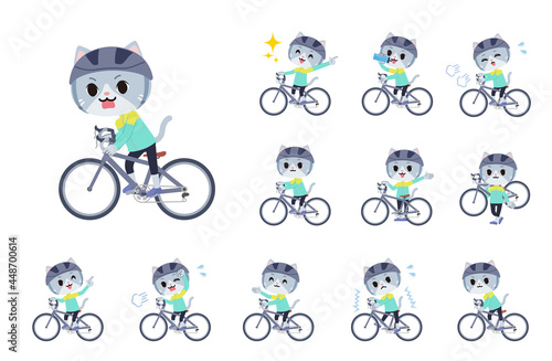 ロードバイクに乗ったネコの男の子のセット