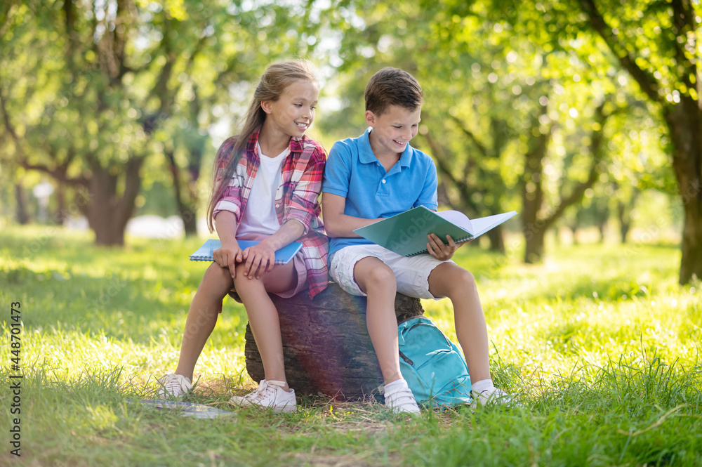 Fototapeta premium Cheerful boy and girl sitting on stump in park
