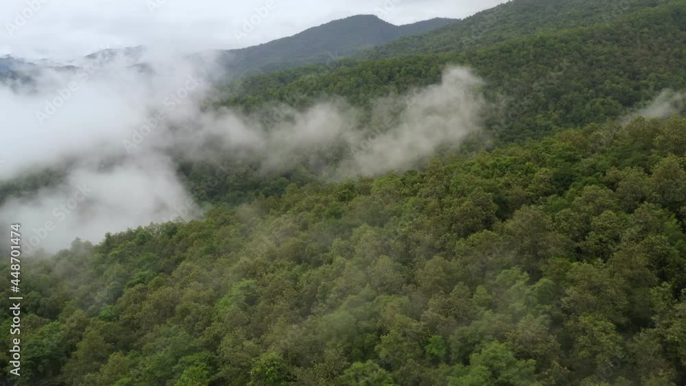 Aerial view flying above lush green tropical rain forest mountain with rain cloud cover during the rainy season on the Doi Phuka Mountain reserve national park. In, the northern Thailand Aerial view flying above lush green tropical rain forest mountain with rain cloud cover during the rainy season on the Doi Phuka Mountain reserve national park. In, the northern Thailand