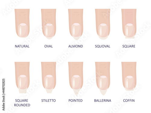 Manicure most popular fashion nail shapes flat style vector illustration set isolated light blue background. Natural, squoval, oval, square rounded, square, almond, stiletto different shapes guidance. photo