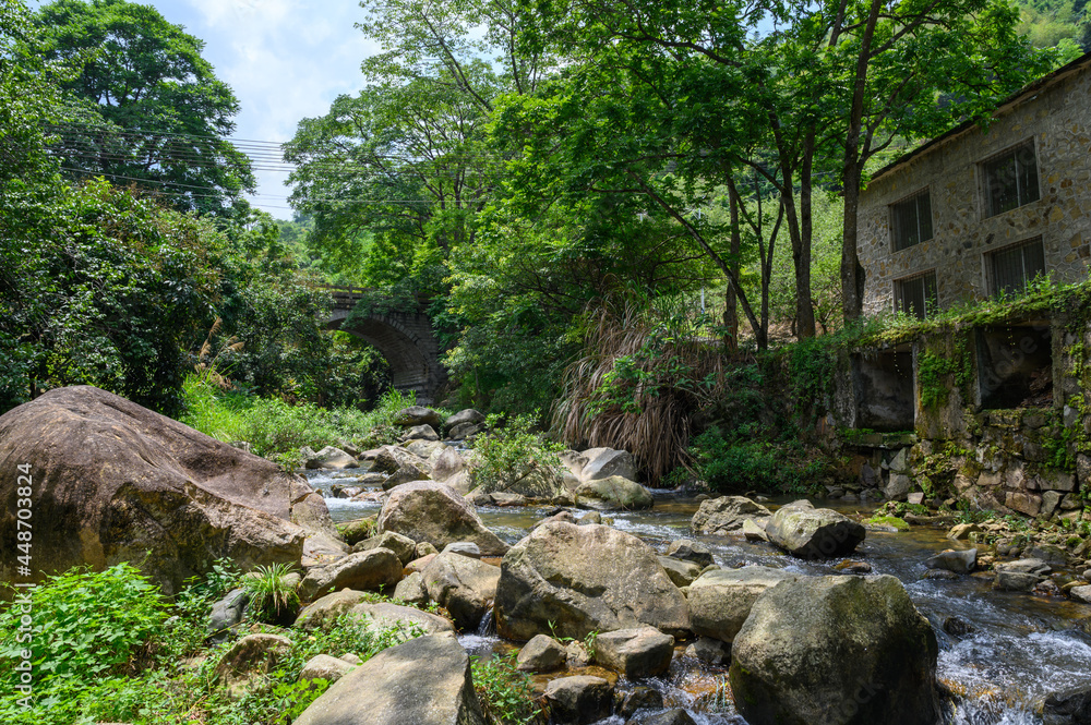 The scenery of the country creek