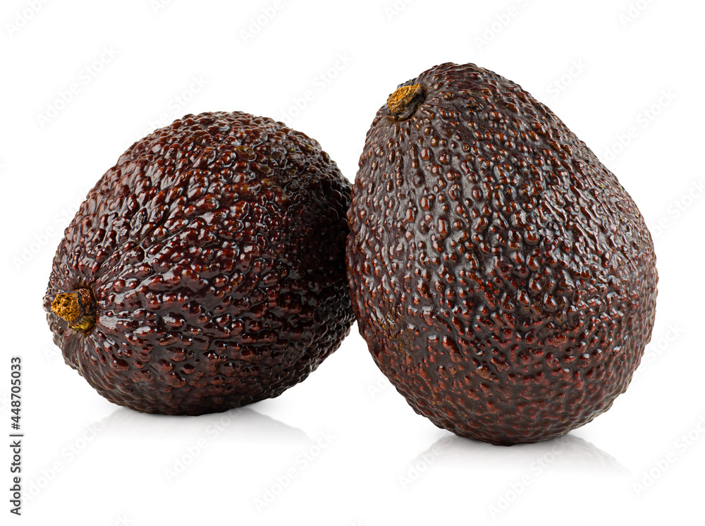 two whole hass avocados on white isolated background two whole hass avocados on white isolated background