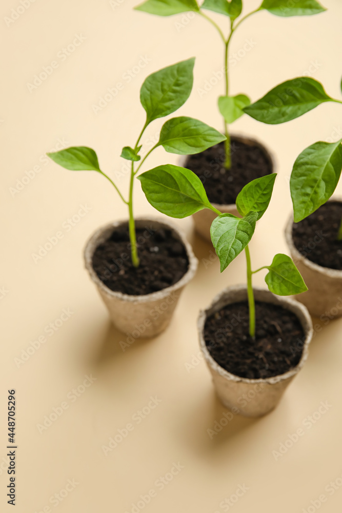 Plants seedlings in peat pots on color background Plants seedlings in peat pots on color background