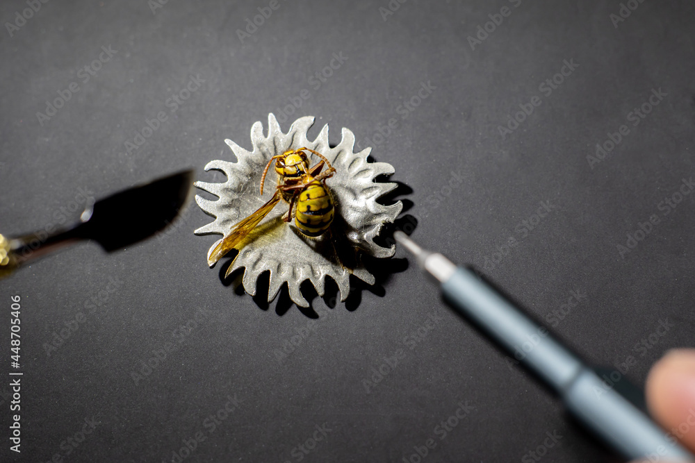 a set of bits for a screwdriver together with a wasp a set of bits for a screwdriver together with a wasp