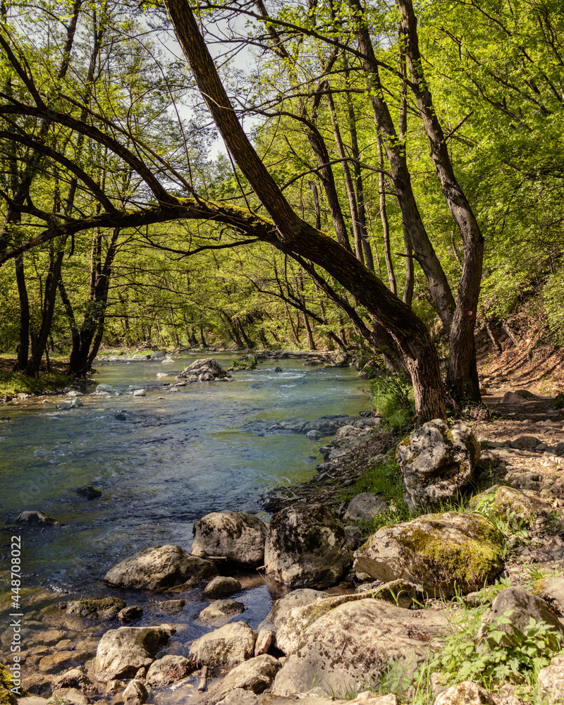 View of the river with trees along the shore during a sunny day View of the river with trees along the shore during a sunny day