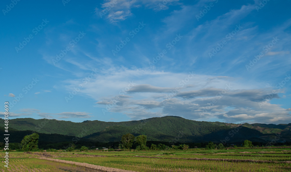 Countryside landscape. Rice field and mountain with blue cloudy sky background. Countryside landscape. Rice field and mountain with blue cloudy sky background.