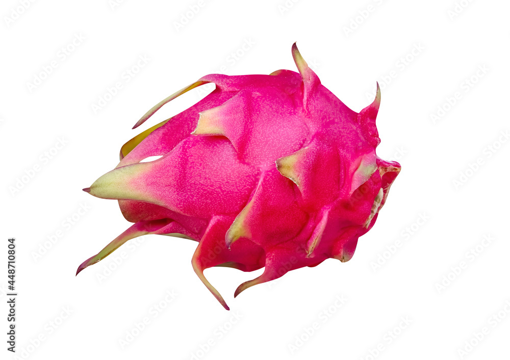 Close up dragon fruit or Hylocereus isolated on white background , clipping path Close up dragon fruit or Hylocereus isolated on white background , clipping path
