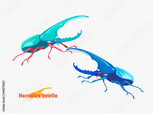 Hercules Beetle