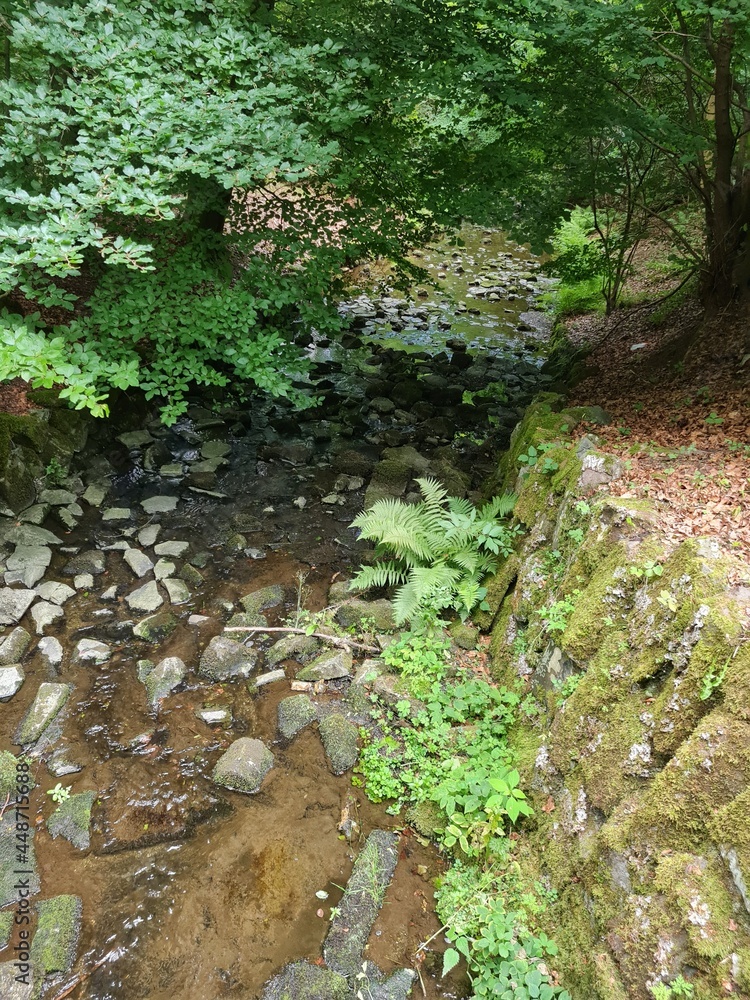 Obraz premium Wallpaper 00015