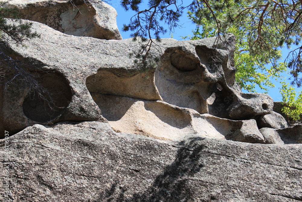 stone lion statue