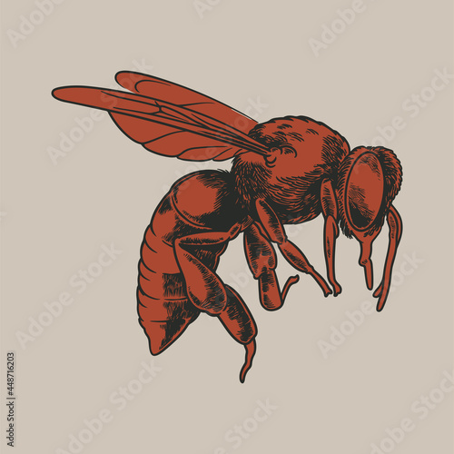 Hand drawn of a mosquito in...
