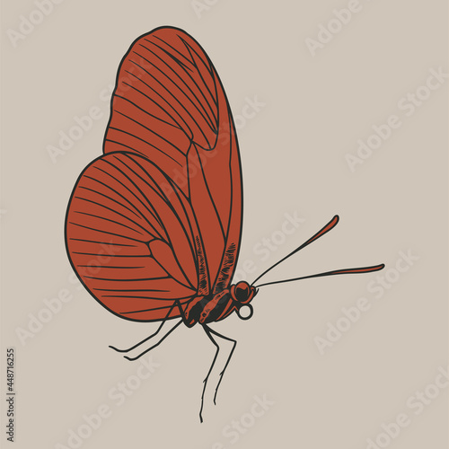 Butterfly sketch engraved h...
