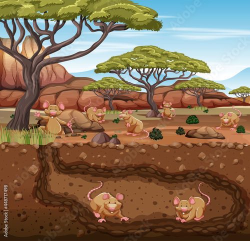 Underground animal burrow with rat family