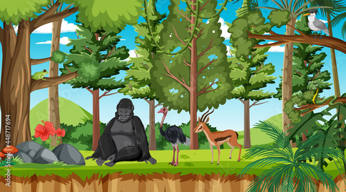 Forest scene with different wild animals