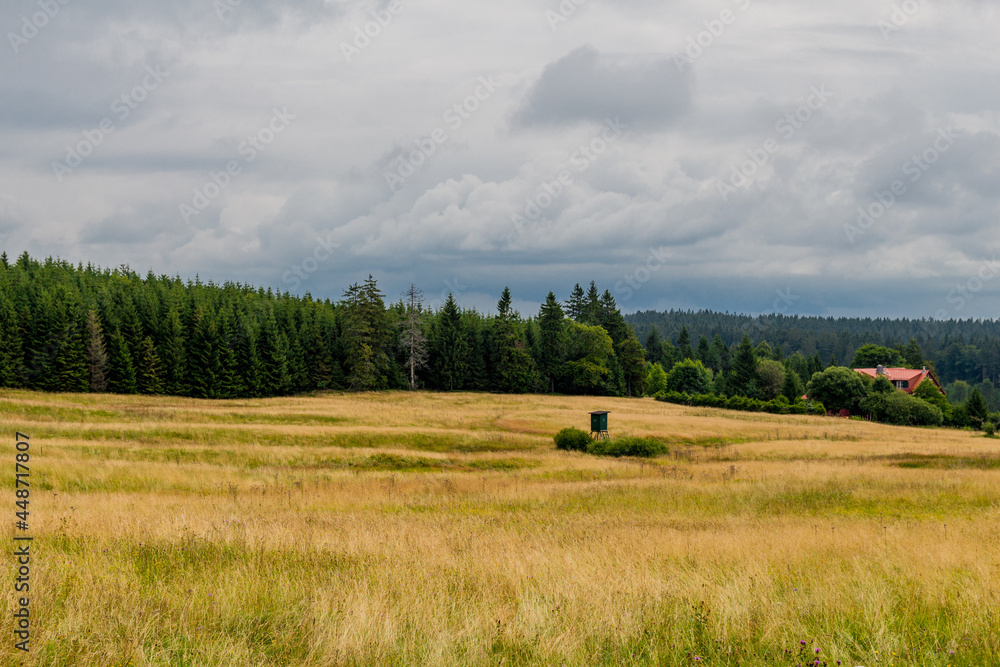 Sommerwanderung durch die schöne Natur Thüringens Sommerwanderung durch die schöne Natur Thüringens