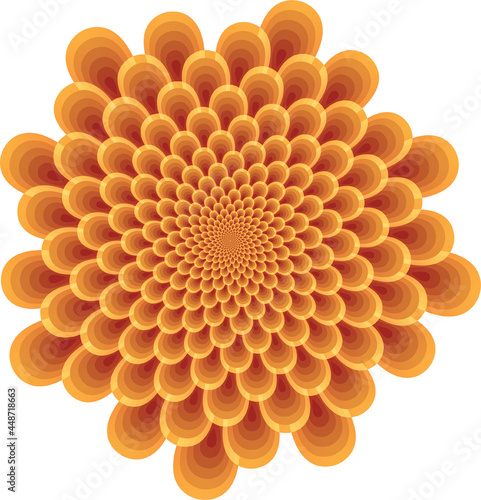 Blue petal Placed in fibonacci pattern
