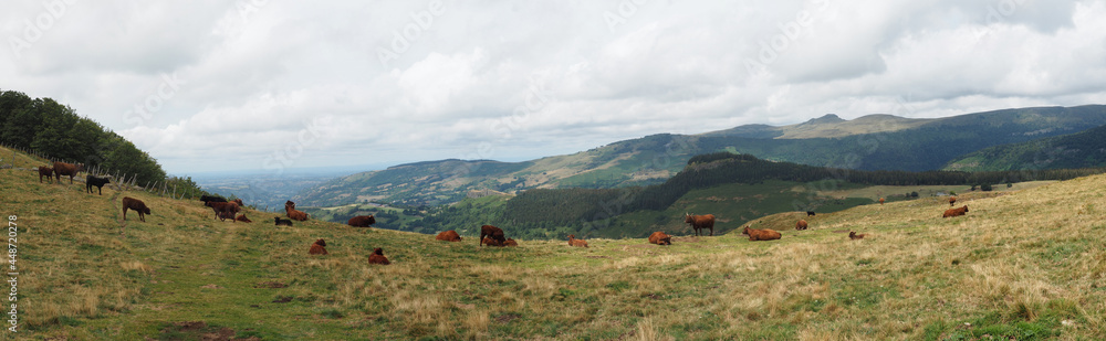 Fototapeta premium Cantal, col de légal