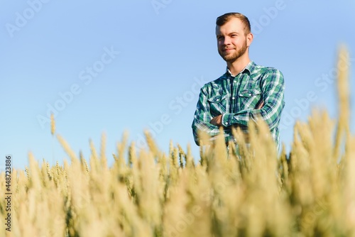 Happy mature technician checking the growth of the wheat for a quality control in a cereal field in summer © Serhii