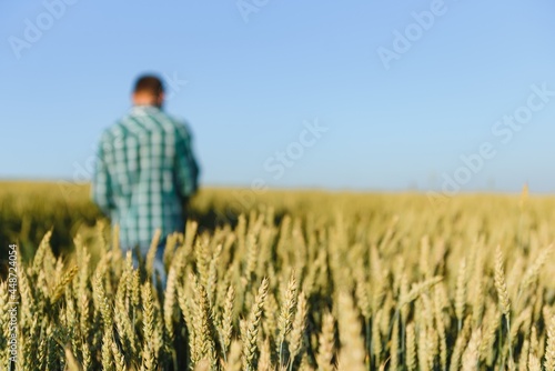 Young farmer in a wheat field before the harvest. © Serhii
