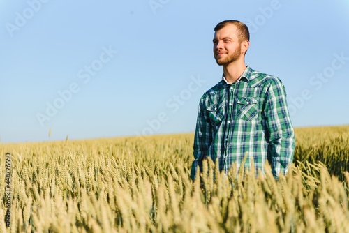Happy mature technician checking the growth of the wheat for a quality control in a cereal field in summer © Serhii