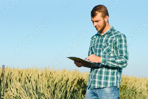 Farmer checking wheat field progress, holding tablet using internet. © Serhii