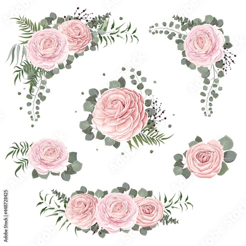 Floral vector collection. Pink roses, ranunculus, berries, eucalyptus, green plants and leaves. Flower compositions on white background.
