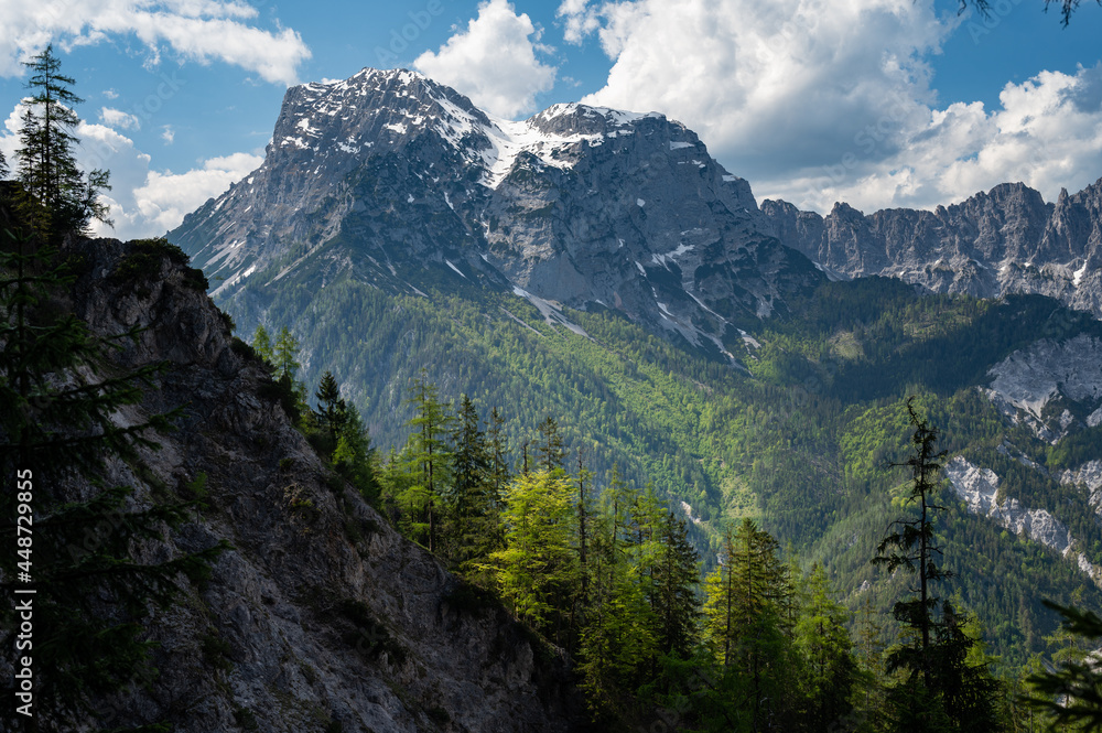 Obraz premium The Austrian alps near Admont on a sunny day in summer