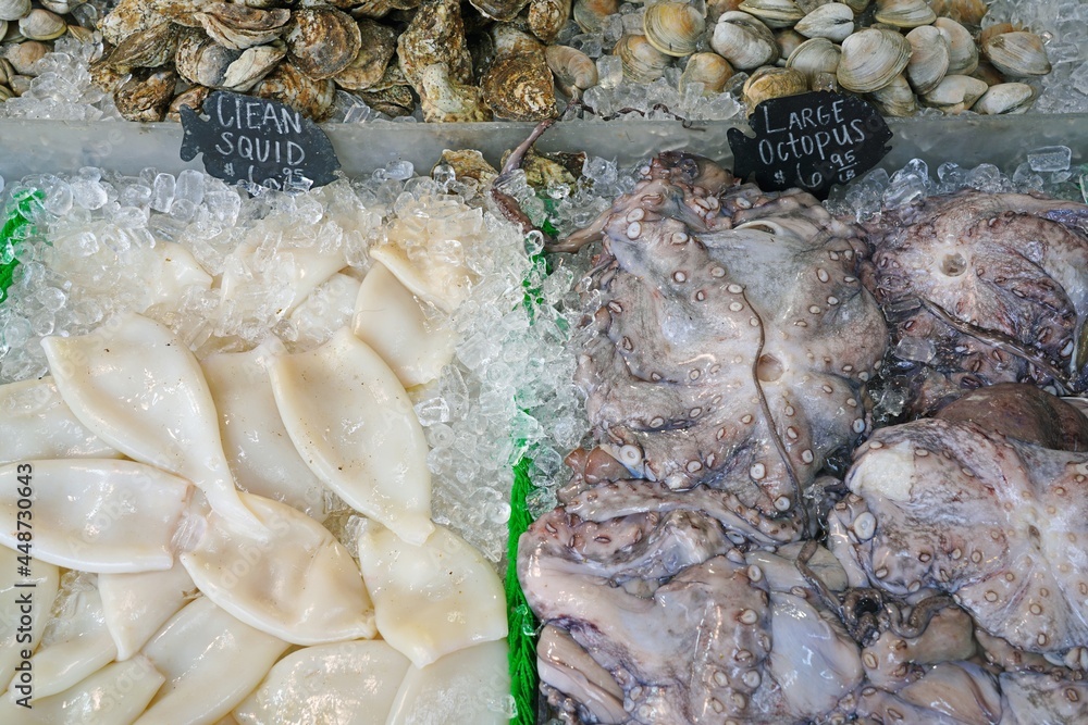 Fresh squid and octopus on ice at a seafood market