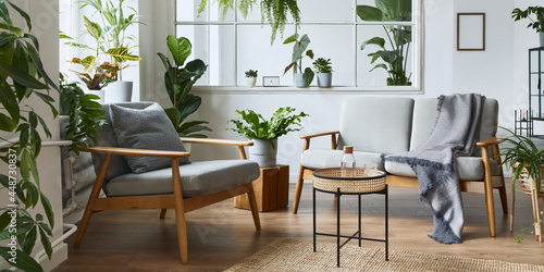 Modern scandinavian interior of living room with design grey sofa  armchair  a lot of plants  coffee table  carpet and personal accessories in cozy home decor. Template.